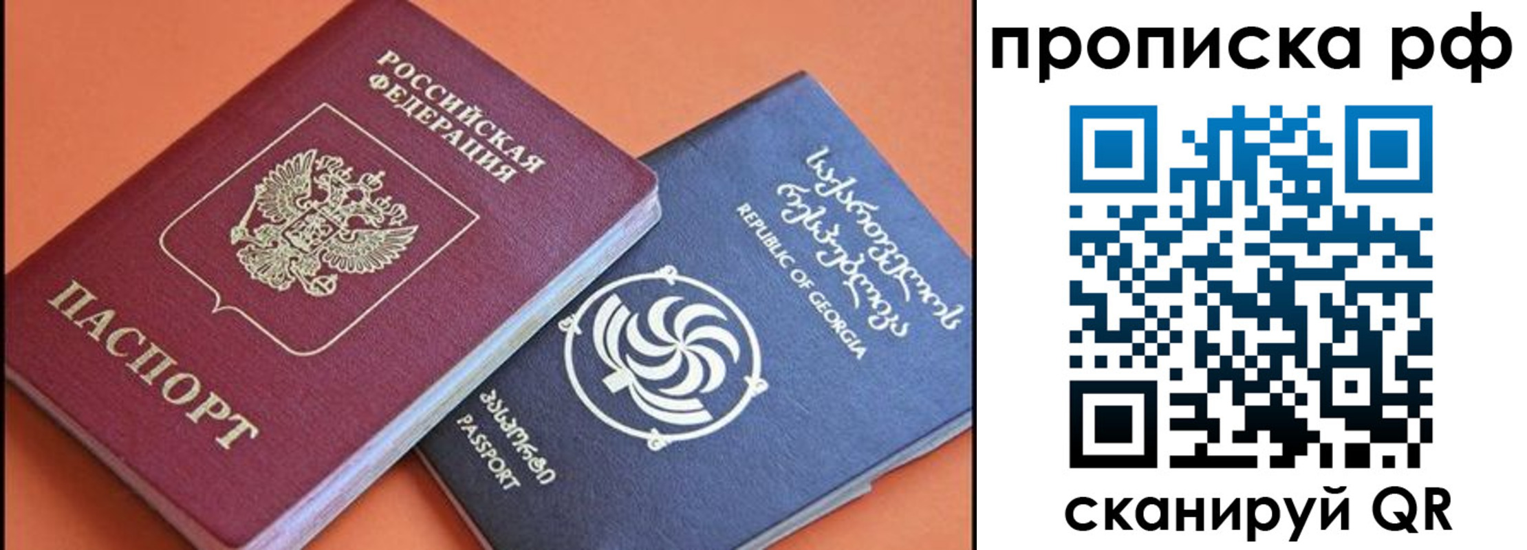прописка поиск в Владимирской области